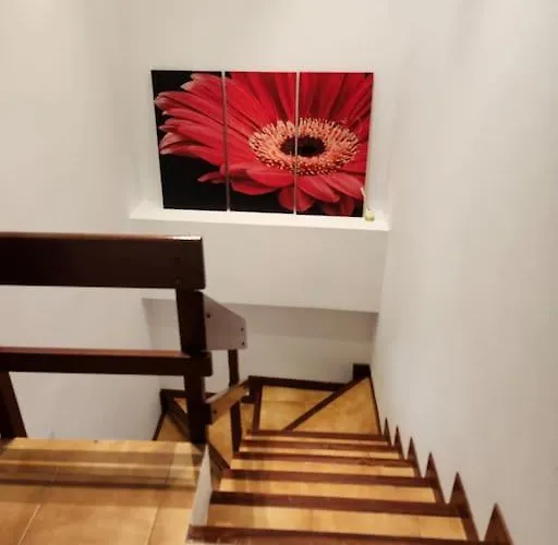 Duplex Rua Sol - Netflix *