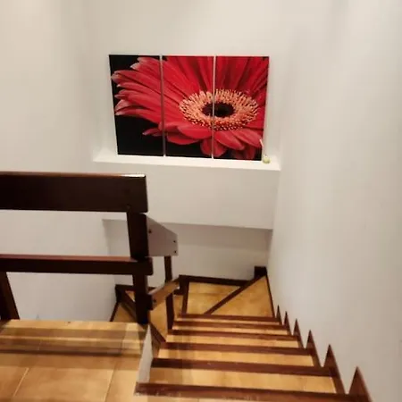 Duplex Rua Sol - Netflix *